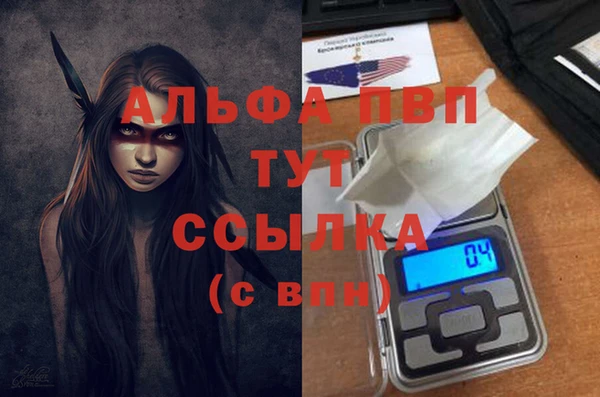 apvp Алзамай