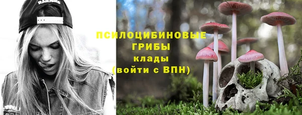 не бодяженный Аркадак